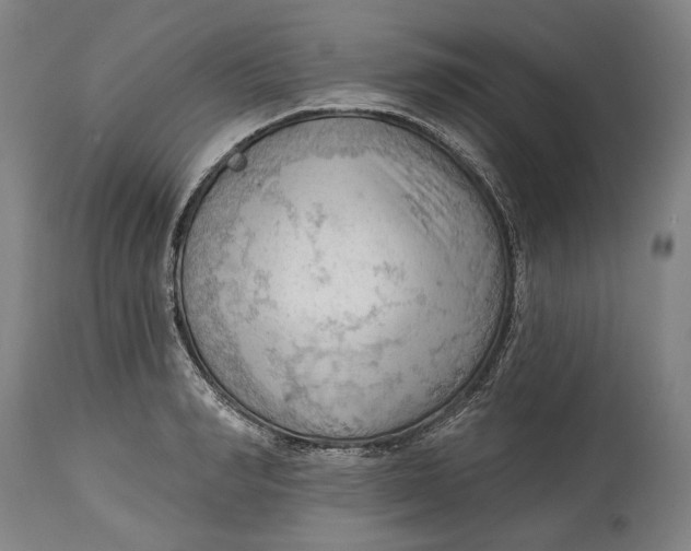 X0000114630990200911101232