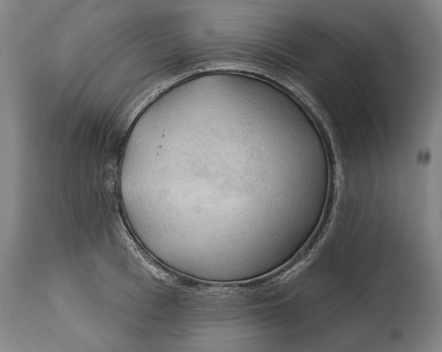 X0000114630993200911101232