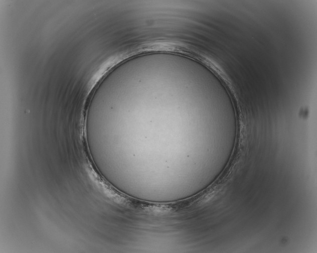 X0000114630994200911101232