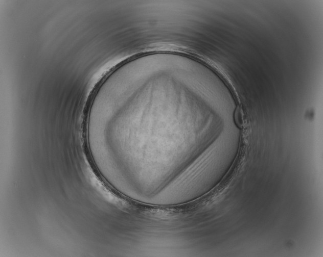 X0000114630995200911101232