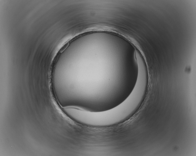 X0000114630997200911101232