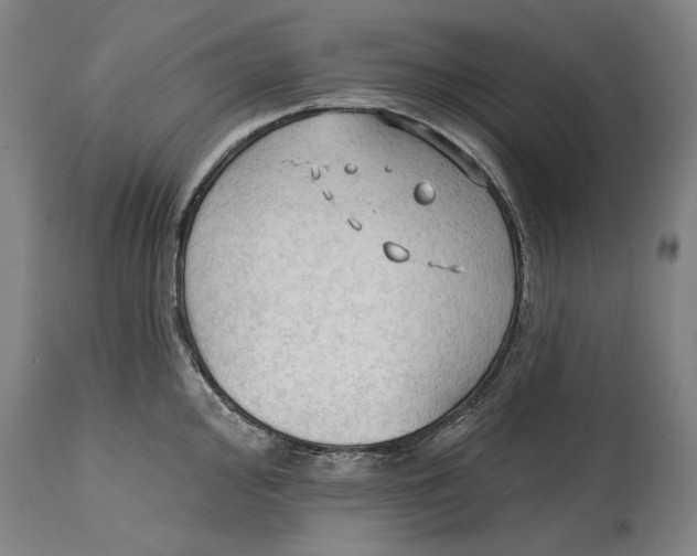 X0000114631000200911101232