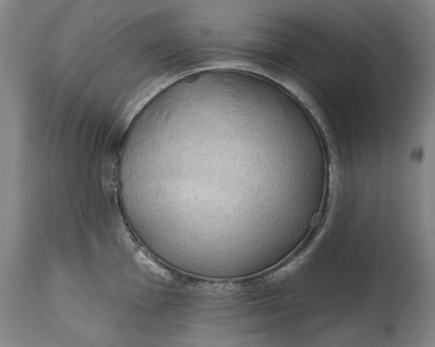 X0000114631001200911101232