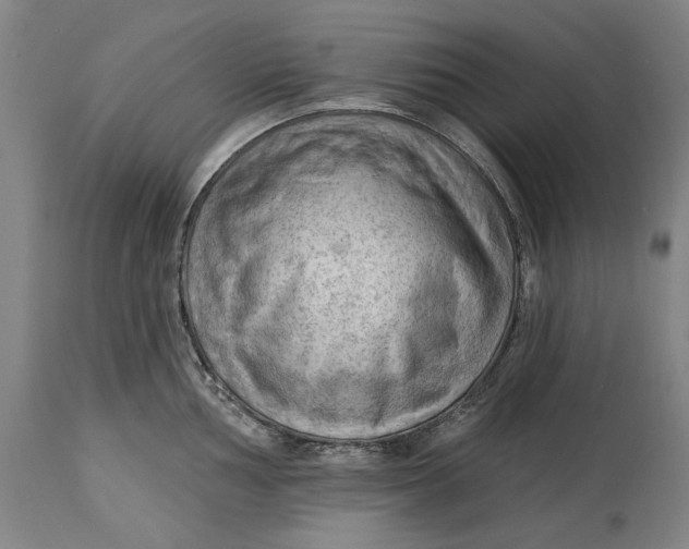 X0000114631002200911101232