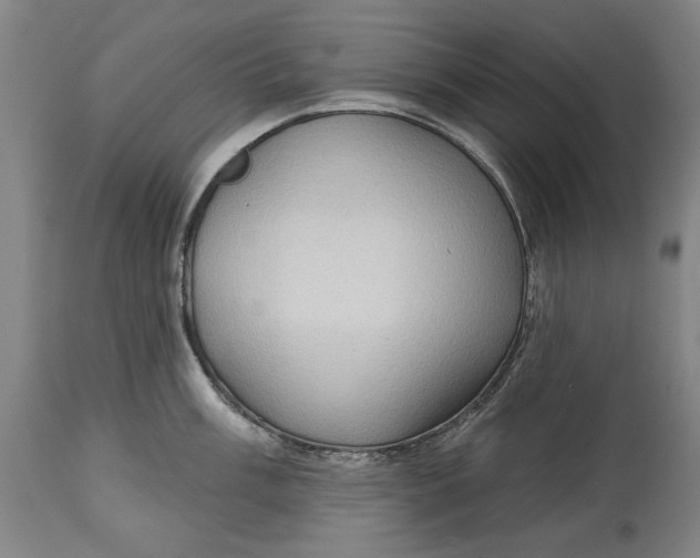 X0000114631003200911101232