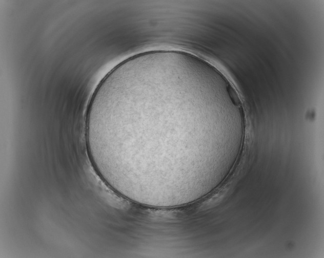 X0000114631004200911101232