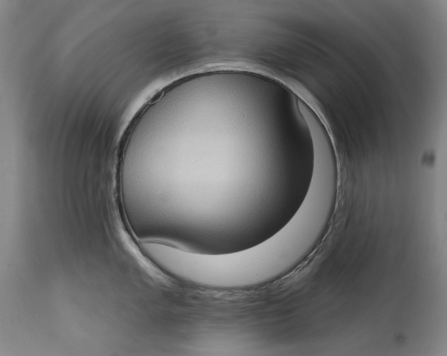 X0000114631005200911101232