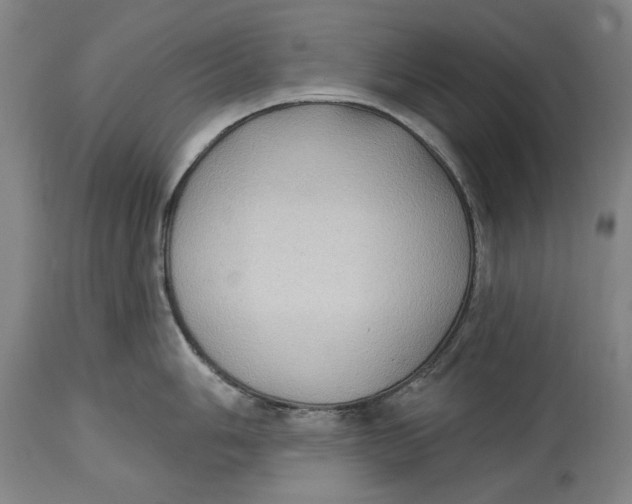 X0000114631006200911101232