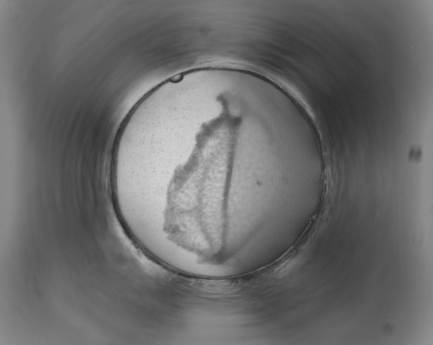 X0000114631007200911101232