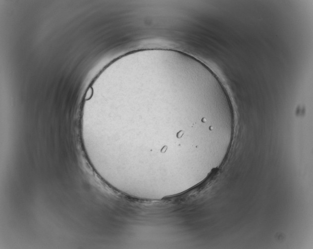 X0000114631008200911101232