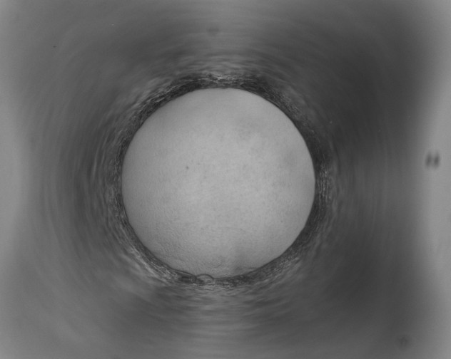 X0000114631009200911101232