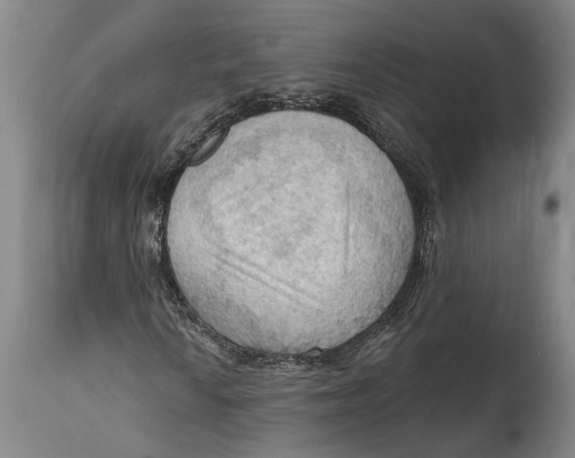 X0000114631010200911101232