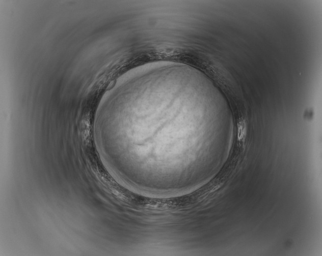 X0000114631011200911101232