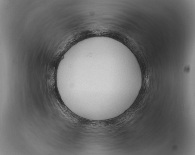 X0000114631012200911101232