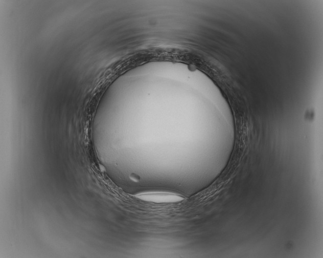 X0000114631013200911101232