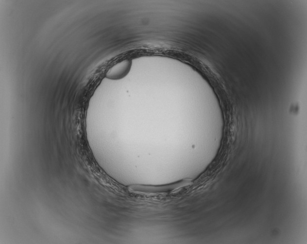 X0000114631016200911101232