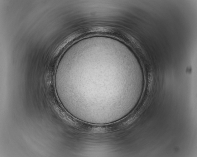 X0000114631017200911101232