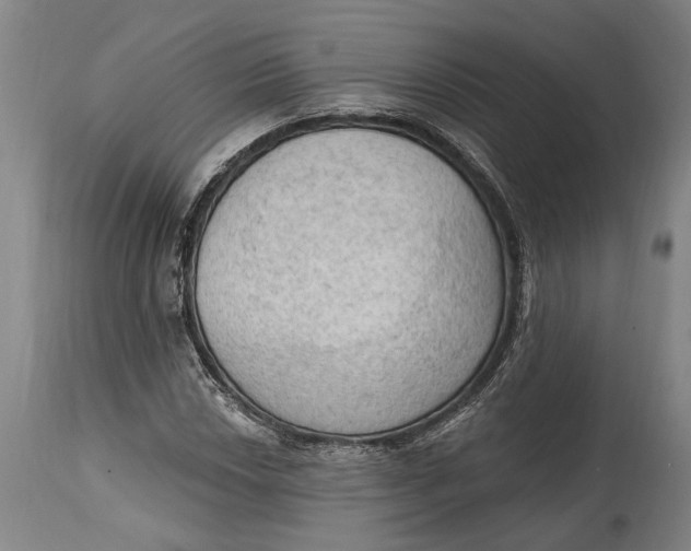 X0000114631018200911101232