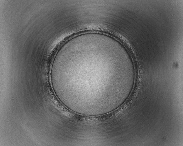 X0000114631019200911101232