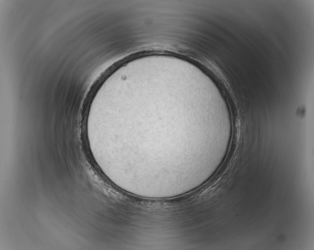 X0000114631020200911101232