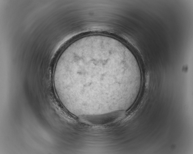 X0000114631021200911101232