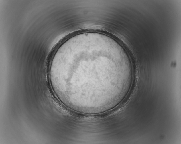 X0000114631022200911101232