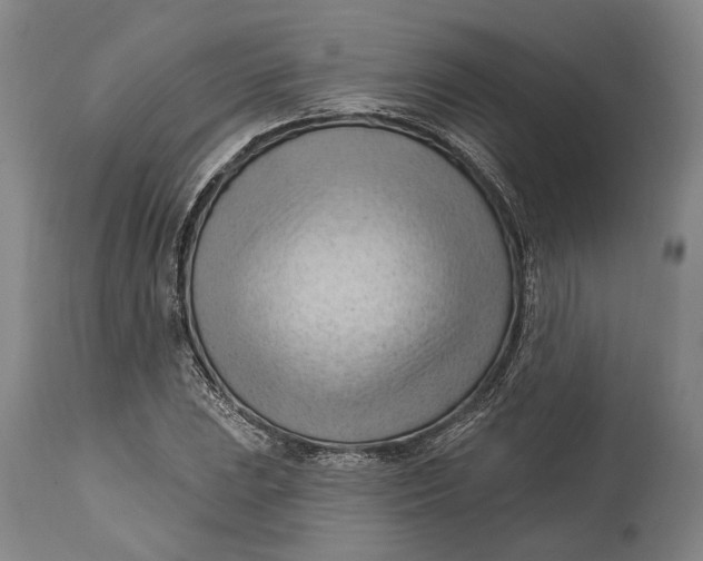 X0000114631023200911101232