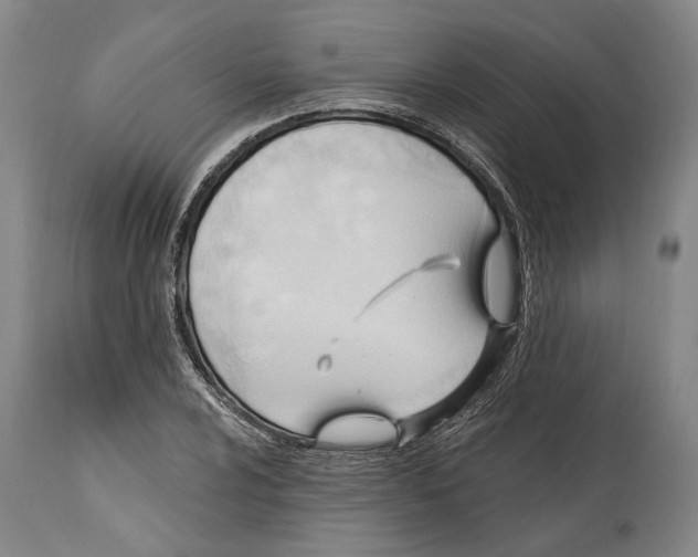 X0000114631024200911101232