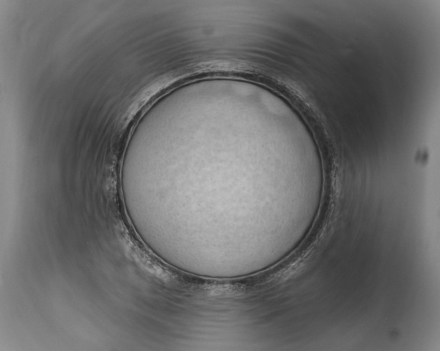 X0000114631025200911101232