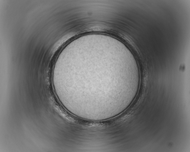 X0000114631026200911101232