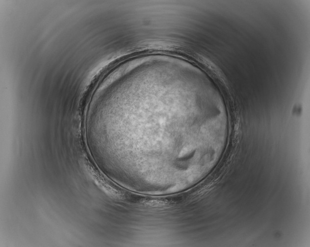 X0000114631027200911101232