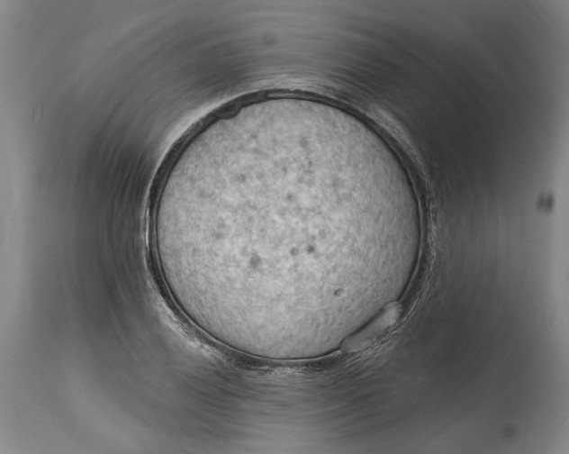 X0000114631028200911101232