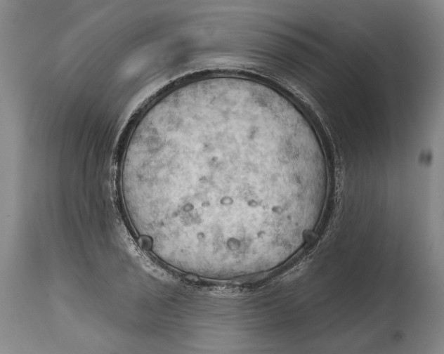 X0000114631029200911101232