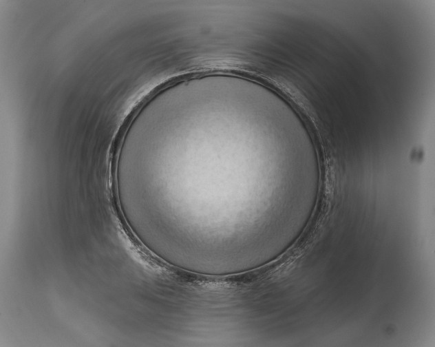 X0000114631031200911101232