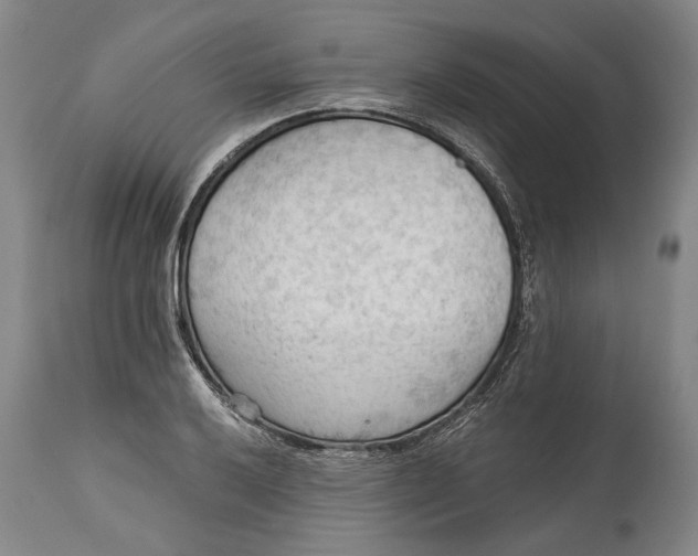 X0000114631032200911101232