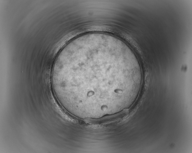 X0000114631033200911101232