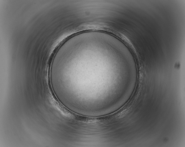 X0000114631035200911101232