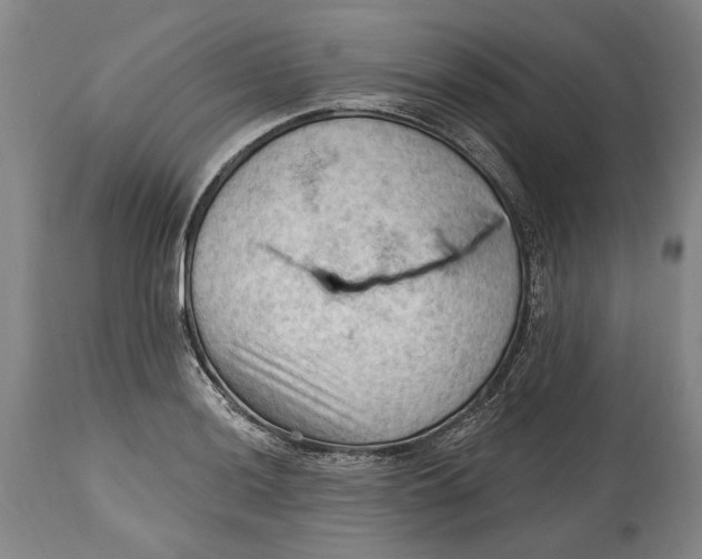 X0000114631036200911101232