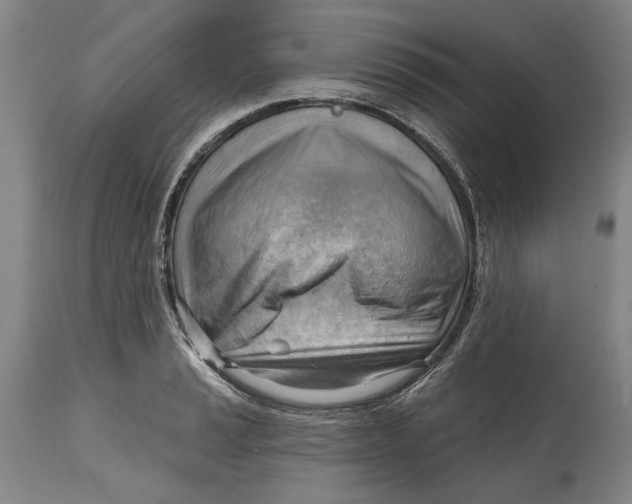 X0000114631037200911101232