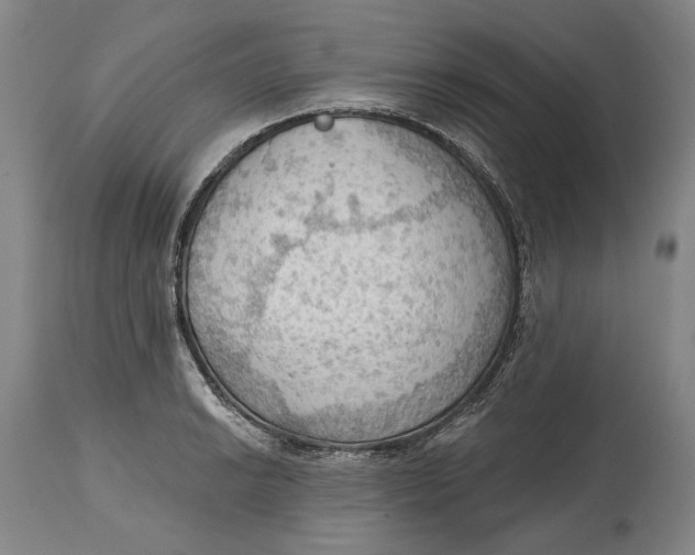 X0000114631038200911101232