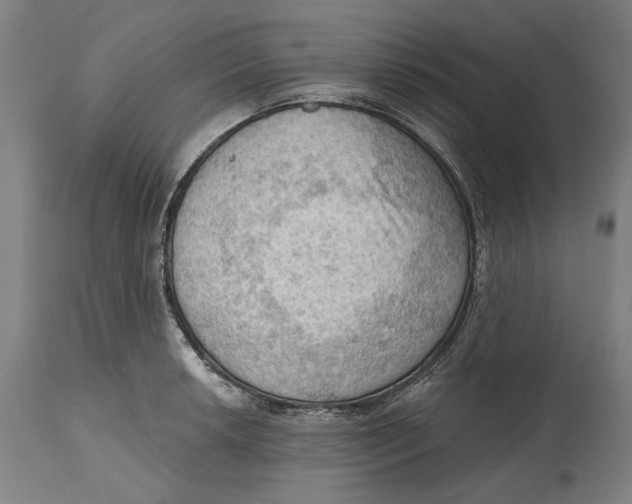 X0000114631042200911101232