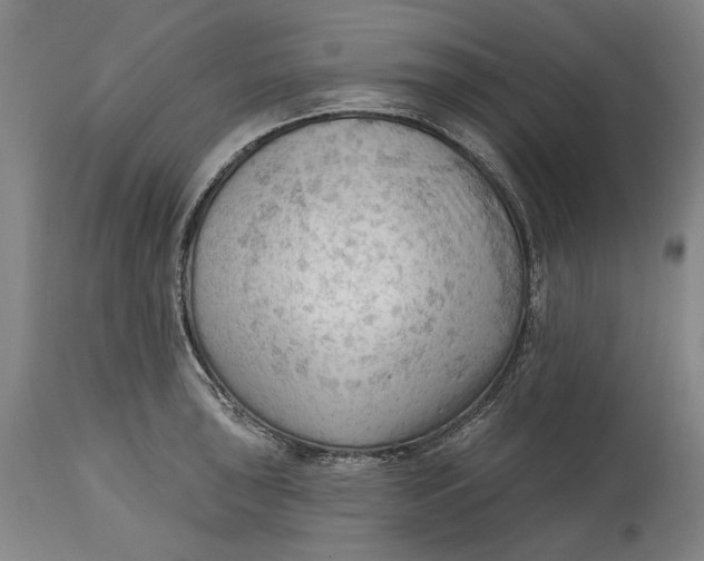 X0000114631043200911101232