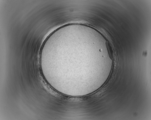 X0000114631044200911101232