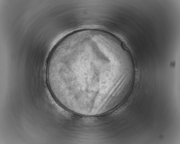 X0000114631046200911101232