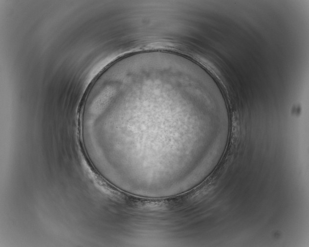 X0000114631047200911101232