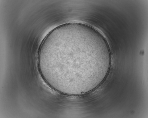 X0000114631048200911101232