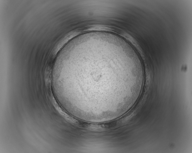 X0000114631049200911101232