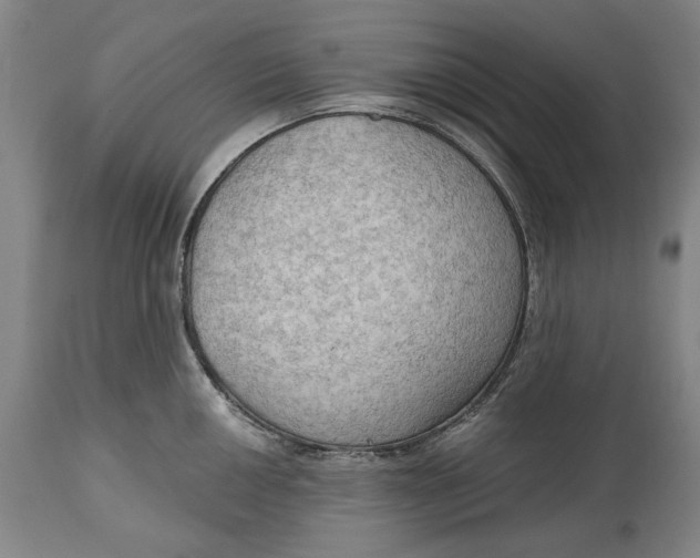 X0000114631050200911101232