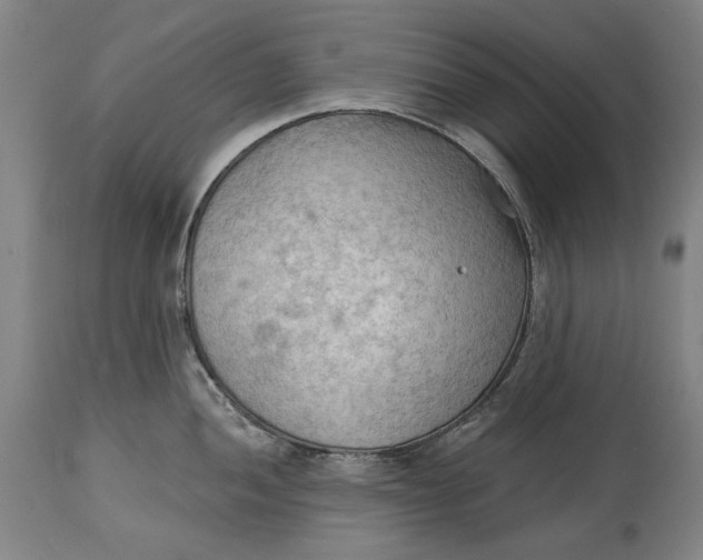 X0000114631052200911101232