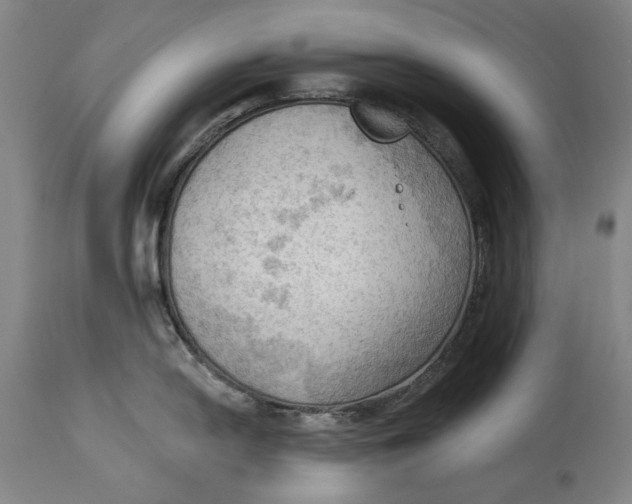 X0000114631054200911101232